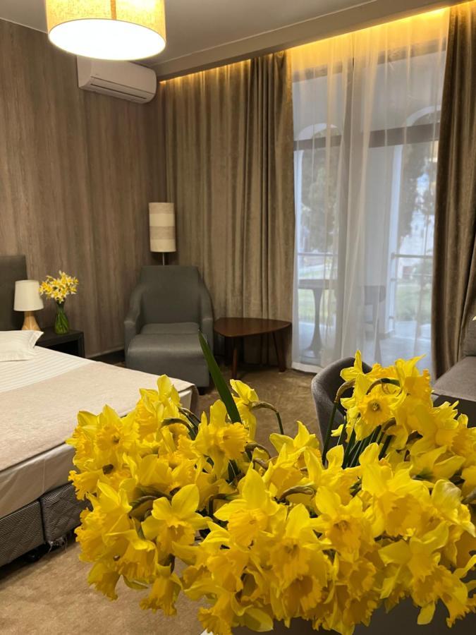 New Athos Abaash Hotel Afon מראה חיצוני תמונה