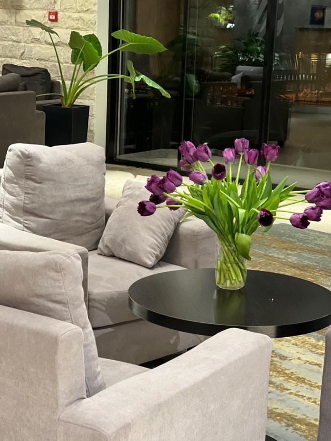 New Athos Abaash Hotel Afon מראה חיצוני תמונה